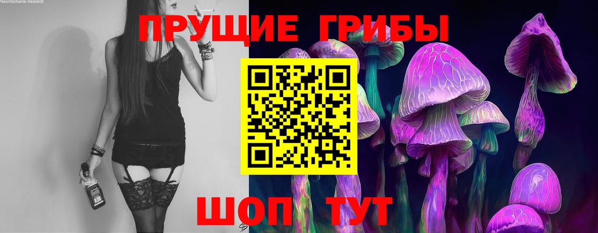 где можно купить   Галлюциногенные грибы Cubensis  Вход с VPN  Семёнов 