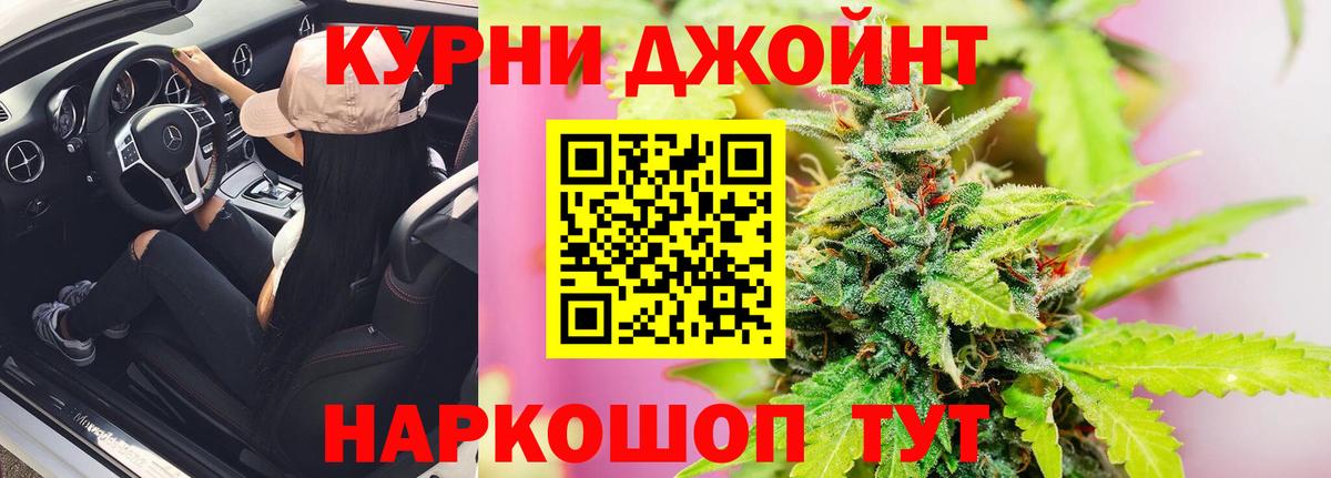 Конопля MAZAR Семёнов
