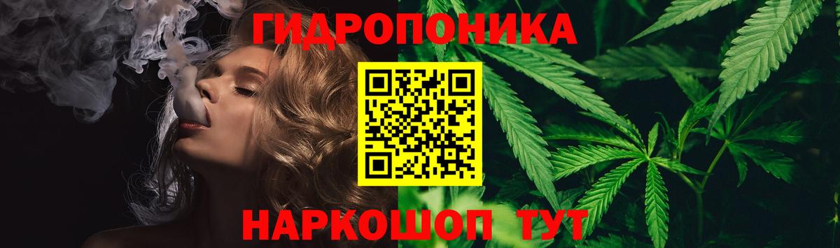 Семёнов  Бошки Шишки THC 21%  Вход с VPN  Конопля план 
